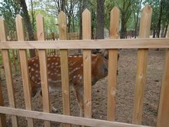 -亿利库布其七星湖沙漠生态旅游区