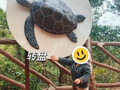 -广东惠东海龟国家级自然保护区