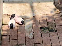 -开元溶洞