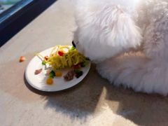 -百好乐宠物友好餐厅(朝外大街店)