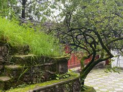 -黑龙潭公园
