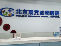 -北京观赏动物医院·24小时大型综合·猫专科·异宠专科