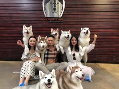 -TrueLove @ Neverland (Husky Cafe)