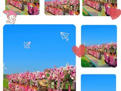 -稻梦空间