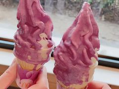 -麦当劳(曲阳店)