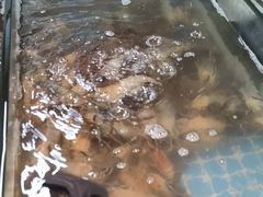 -争先鲜·蒸汽海鲜自助·鲜切牛肉