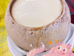 原只椰子炖奶-民信老铺(华盖路店)