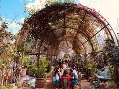 -The Grounds of Alexandria