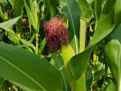 -瀛海足球主题公园