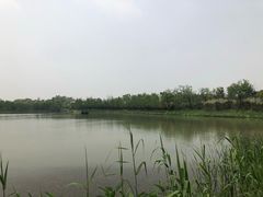 -品渔味湖鲜馆(拈花湾店)