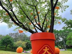 -云溪植物园