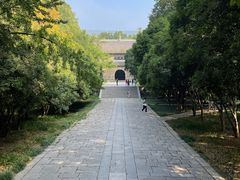 -灵谷景区
