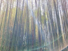 -竹泉村旅游度假区