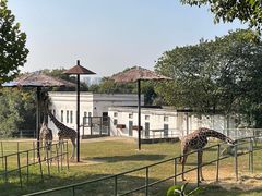 -合肥野生动物园