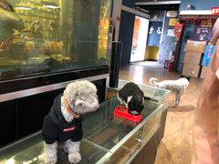 -酷鱼垂钓CLUB(朝阳区博大路店 )