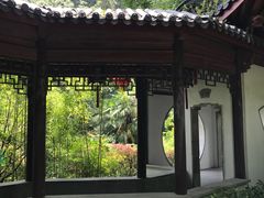 -十八棵（老龙井）御茶园(老龙井店)