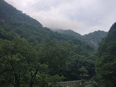 -陕西省红河谷森林公园