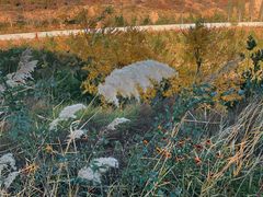 -山西乌金山旅游区