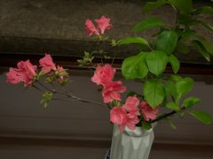 -余姚阳明温泉山庄