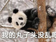 -郑州大学荷园二餐厅