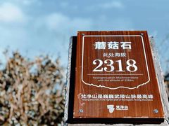 -梵净山旅游区