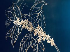 -星巴克(温州银泰大西洋店)