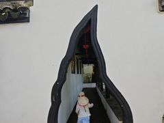 -上海醉白池公园