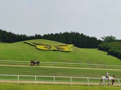 -迪茵湖田家舍生态农场