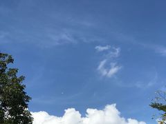 -深圳湾公园(南山区)