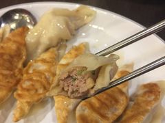 -高雄杨宝宝锅贴