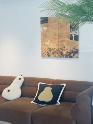 点击看大图 -小梨·OndaPro·专业脱毛连锁机构