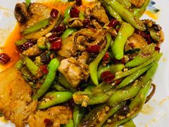-东来菜馆•手抓海鲜家常菜•海鲜锅贴(鸽子窝店)