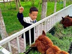 -水上乐园·欢乐世界