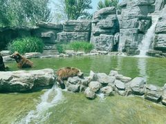 -北京野生动物园