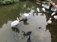 景点-无锡动物园·太湖欢乐园