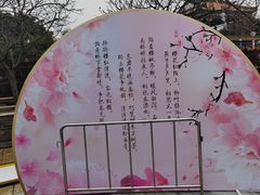 -宝墨园景区
