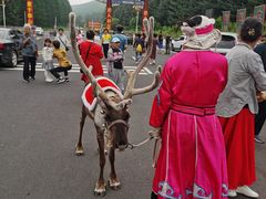 -塞罕坝国家级自然保护区