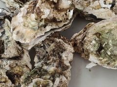 -渔民船说·北塘海鲜·天津菜·海肠捞饭(北塘古镇店)