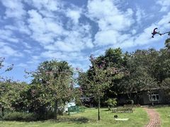 -三亚南山文化旅游区