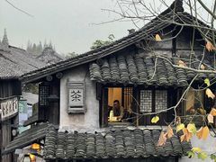 -乌镇景区