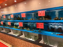 水产区-天天渔港(杏林街店)