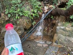 -杭州半山国家森林公园