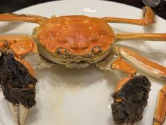 -天津东凯悦酒店·Market Café自助餐厅