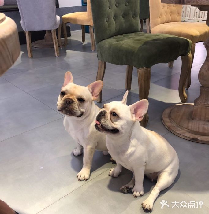 红苹果蛋糕(安居店)图片