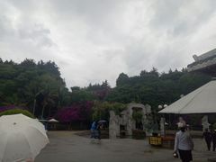 -南诏风情岛