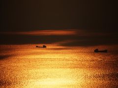 -北岐滩涂