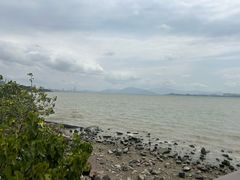 -深圳湾公园(南山区)