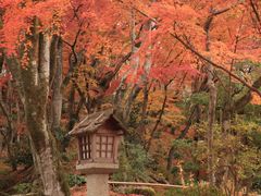 -常寂光寺