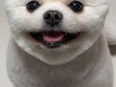 -宠物家(大兴旧宫店)