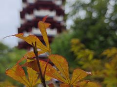 -古隆中景区